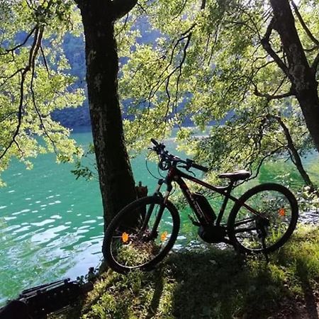 Appartamento Levico Lake Левико-Терме Экстерьер фото